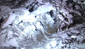 10-